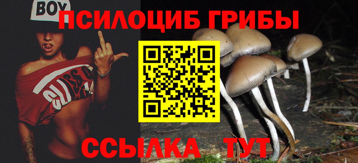 Псилоцибиновые грибы прущие грибы  где продают наркотики  Щёлково  Псилоцибиновые грибы MAGIC MUSHROOMS  Вход с VPN 